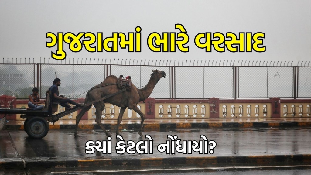 rainfall in Gujarat in 24 hours