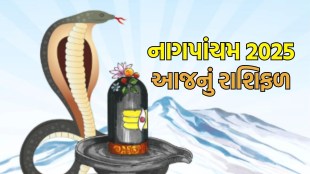 Nagpanchami horoscope today rashifal | નાગપાંચમ રાશિફળ