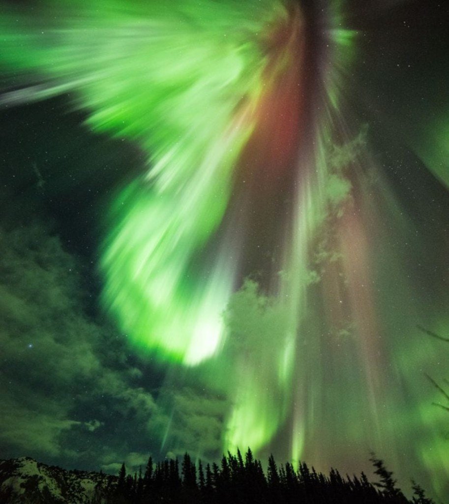 Nasa Captured the Night Sky in Alaska | નાસા ફોટો અલાસ્કા સેન્ટ પેટ્રિક ઓરોરા રાતનો અનોખો નજારો