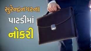 Gujarat Bharti 2025, Patadi nagarpalika Bharti