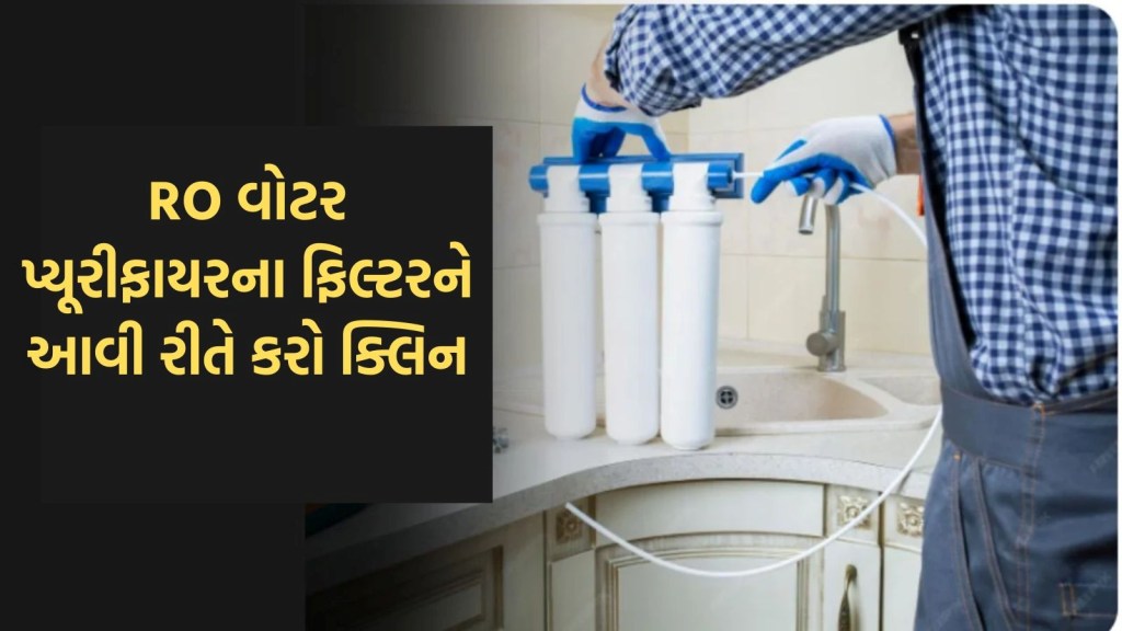 RO Water Purifier filter, આરઓ વોટર પ્યુરિફાયરના ફિલ્ટર