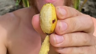 Yelakki Banana Benefits