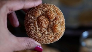 Shravan Recipe, anarsa recipe