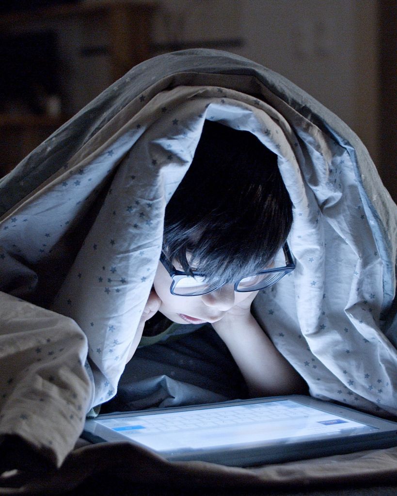 ફોનમાં રીલ જોવાના ગેરફાયદા